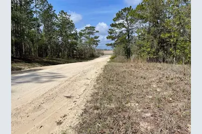 Lot 6 SE 2 Street, Williston, FL 32696 - Photo 5