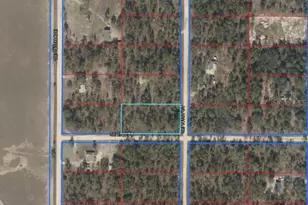 Lot 6 SE 2 St, Williston, FL 32696 - Photo 1