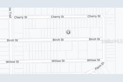 00 Birch Street, Interlachen, FL 32148 - Photo 3