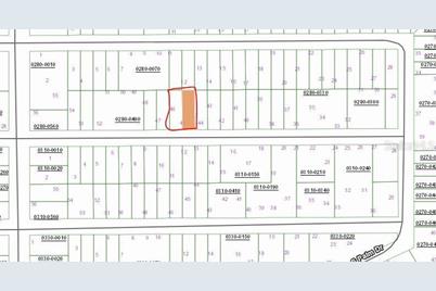 Birch Street, Interlachen, FL 32148 - Photo 1