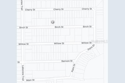 Birch Street, Interlachen, FL 32148 - Photo 3