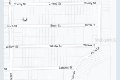 Birch Street, Interlachen, FL 32148 - Photo 3