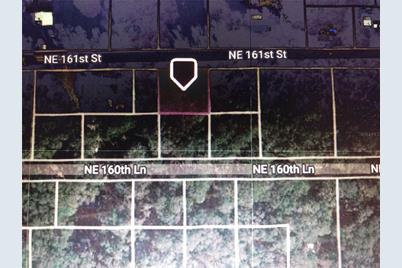 0 NE 161st Street, Citra, FL 32113 - Photo 3