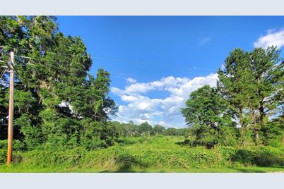 0 Tbd NW 115th Avenue, Reddick, FL 32686 - Photo 1