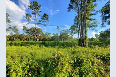 0 Tbd NW 115th Avenue, Reddick, FL 32686 - Photo 5