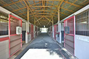 13450 NW Gainesville Rd, Reddick, FL 32686 - Photo 19