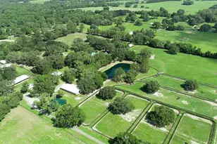 13450 NW Gainesville Rd, Reddick, FL 32686 - Photo 25