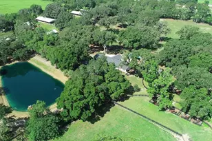 13450 NW Gainesville Rd, Reddick, FL 32686 - Photo 3