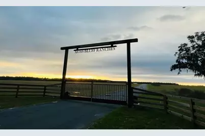 Se 74th Lane Road #8-WEST, Ocklawaha, FL 32179 - Photo 51