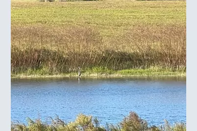 Se 74th Lane Road #8-WEST, Ocklawaha, FL 32179 - Photo 37