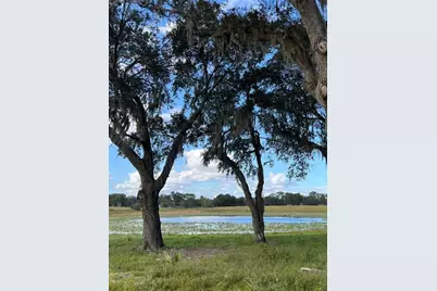 Se 74th Lane Road #8-WEST, Ocklawaha, FL 32179 - Photo 29