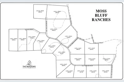 Se 74th Lane Road #6-EAST, Ocklawaha, FL 32179 - Photo 3