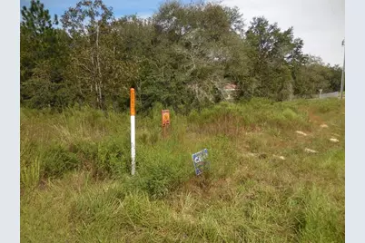 6291 NE 112th Terrace, Williston, FL 32696 - Photo 5