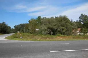 6291 NE 112th Terrace, Williston, FL 32696 - Photo 1