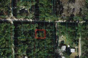 00 NE 66th Ct, Citra, FL 32113 - Photo 1