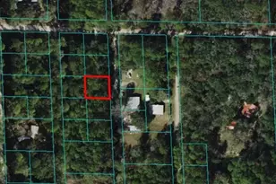 00 NE 67th Ave, Citra, FL 32113 - Photo 1