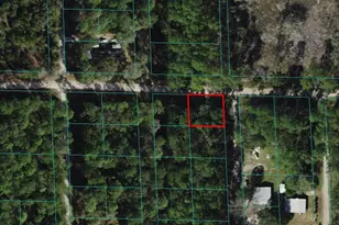 00 NE 137th Pl, Citra, FL 32113 - Photo 1