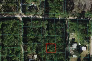00 NE 66th Ct, Citra, FL 32113 - Photo 1