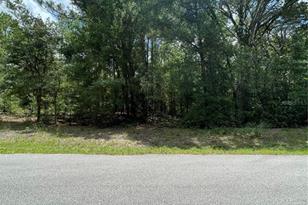 Tbd SW 59th Ln, Dunnellon, FL 34431 - Photo 1