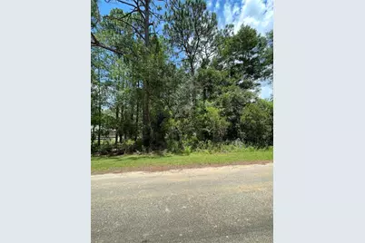 Tbd SW 59th Lane, Dunnellon, FL 34431 - Photo 9