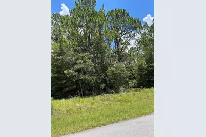 Tbd SW 59th Lane, Dunnellon, FL 34431 - Photo 13