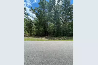Tbd SW 59th Lane, Dunnellon, FL 34431 - Photo 1