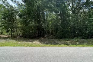 Tbd SW 59th Ln, Dunnellon, FL 34431 - Photo 1
