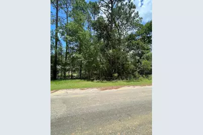 Tbd SW 59th Lane, Dunnellon, FL 34431 - Photo 7