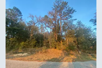 Lot 28 SW 206 Circle, Dunnellon, FL 34431 - Photo 1
