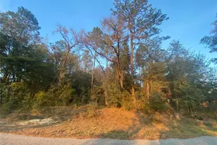 Lot 28 SW 206 Circle, Dunnellon, FL 34431 - Photo 1