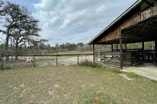 1650 SE State Road 121 - Photo 9