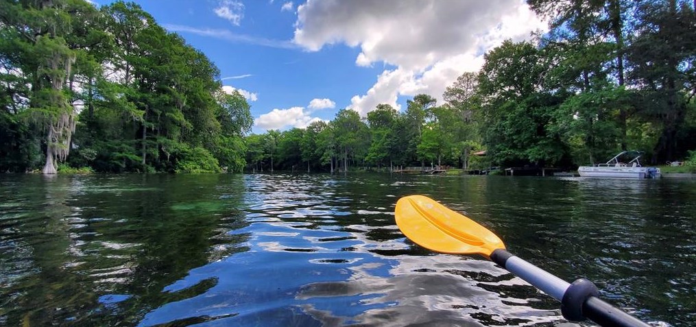 8501 209th Ct, Dunnellon FL  34431-5341 exterior