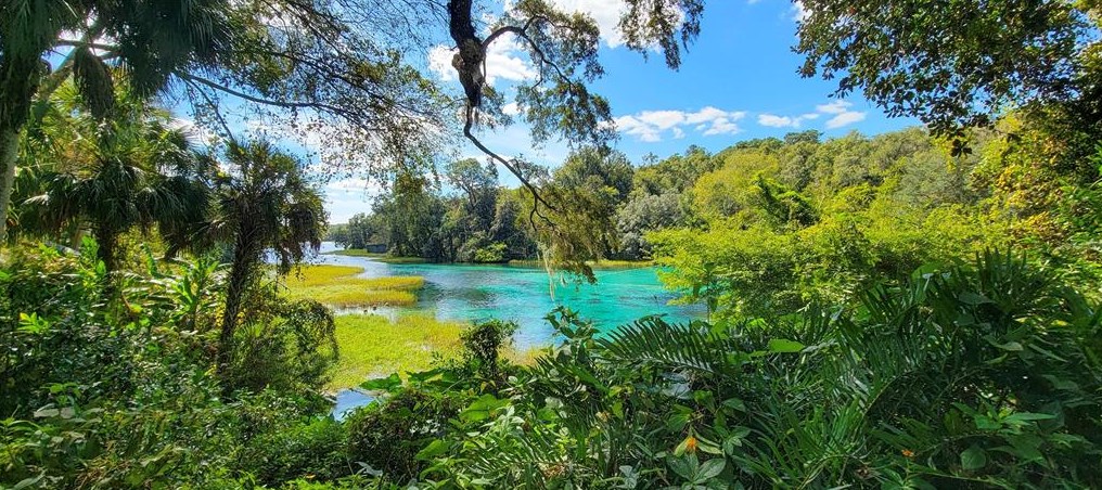 8501 209th Ct, Dunnellon FL  34431-5341 exterior