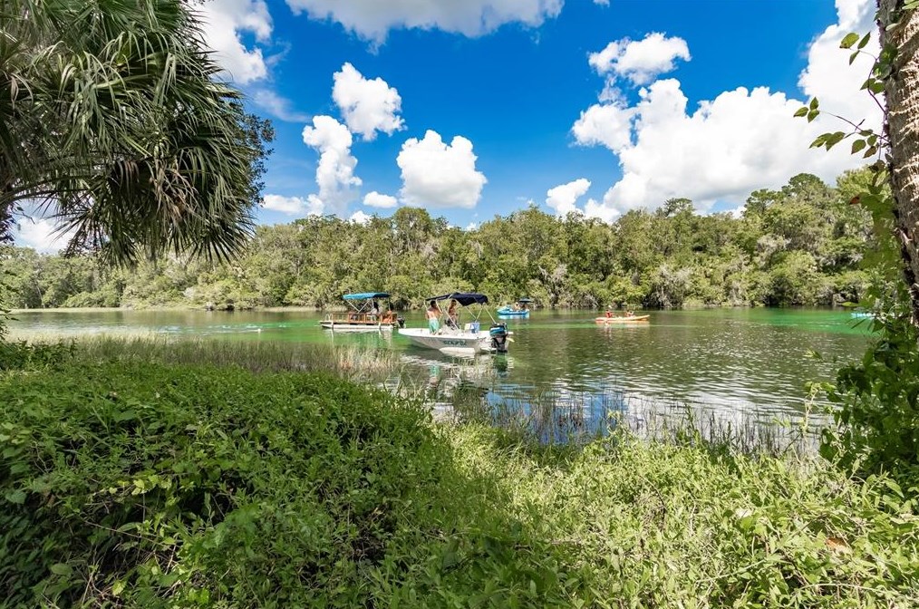 8501 209th Ct, Dunnellon FL  34431-5341 exterior