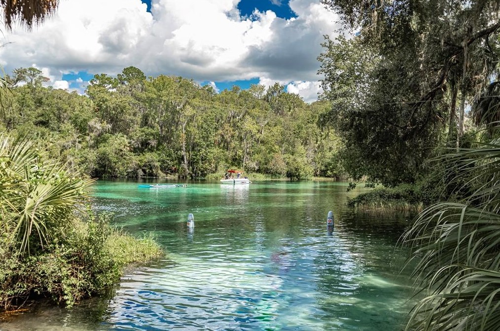 8501 209th Ct, Dunnellon FL  34431-5341 exterior