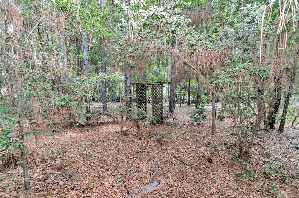 8501 209th Ct, Dunnellon FL  34431-5341 exterior