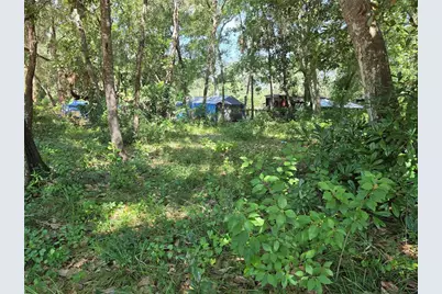 0 NE 167th Terrace, Silver Springs, FL 34488 - Photo 5