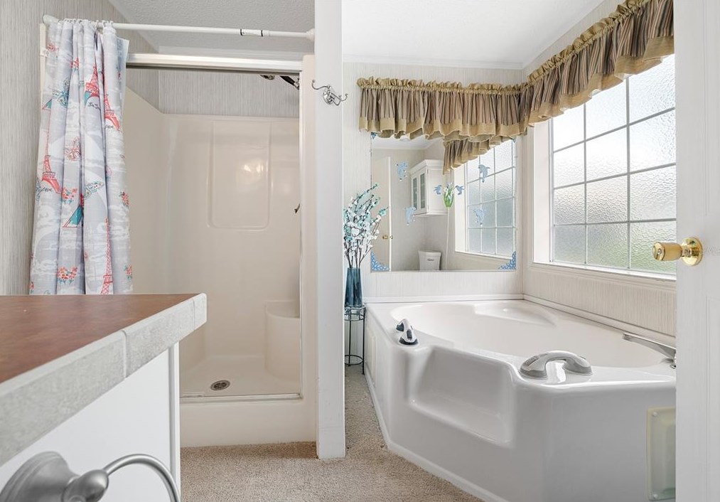 2427 178 Ave, Silver Springs FL  34488-6159 exterior