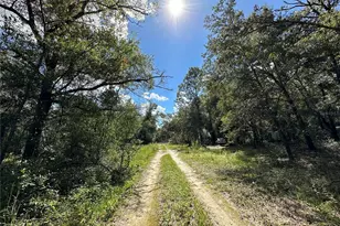 000 NE 156th Ave, Williston, FL 32696 - Photo 1