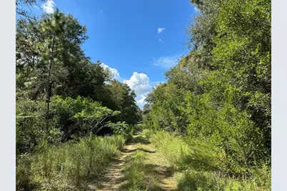000 NE 156th Avenue, Williston, FL 32696 - Photo 5