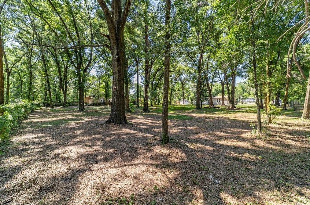 10790 151 Pl, Dunnellon FL 34432-6753 exterior