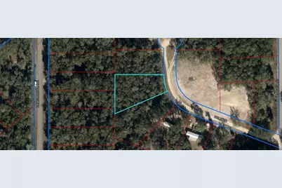 145 Palm Drive, Bronson, FL 32621 - Photo 1