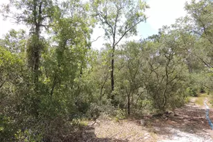 5551 SW 103rd Ct, Cedar Key, FL 32625 - Photo 1