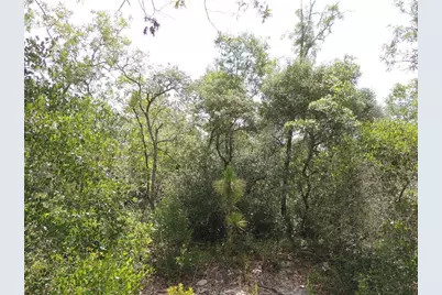 5551 SW 103rd Court, Cedar Key, FL 32625 - Photo 3