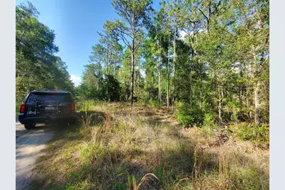 Tbd SW 159 Avenue, Ocala, FL 34481 - Photo 7