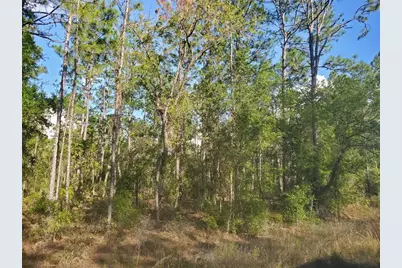 Tbd SW 159 Avenue, Ocala, FL 34481 - Photo 1