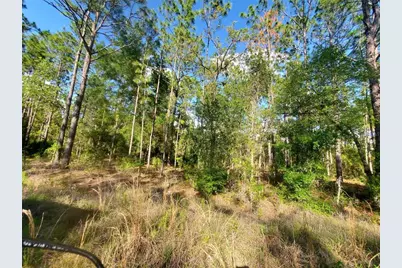 Tbd SW 159 Avenue, Ocala, FL 34481 - Photo 9