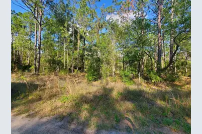 Tbd SW 159 Avenue, Ocala, FL 34481 - Photo 5