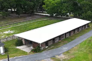 19431 NE 17 Pl, Williston, FL 32696 - Photo 45