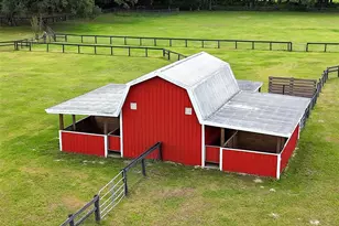 19431 NE 17 Pl, Williston, FL 32696 - Photo 43